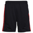 KK981 Sport Shorts
